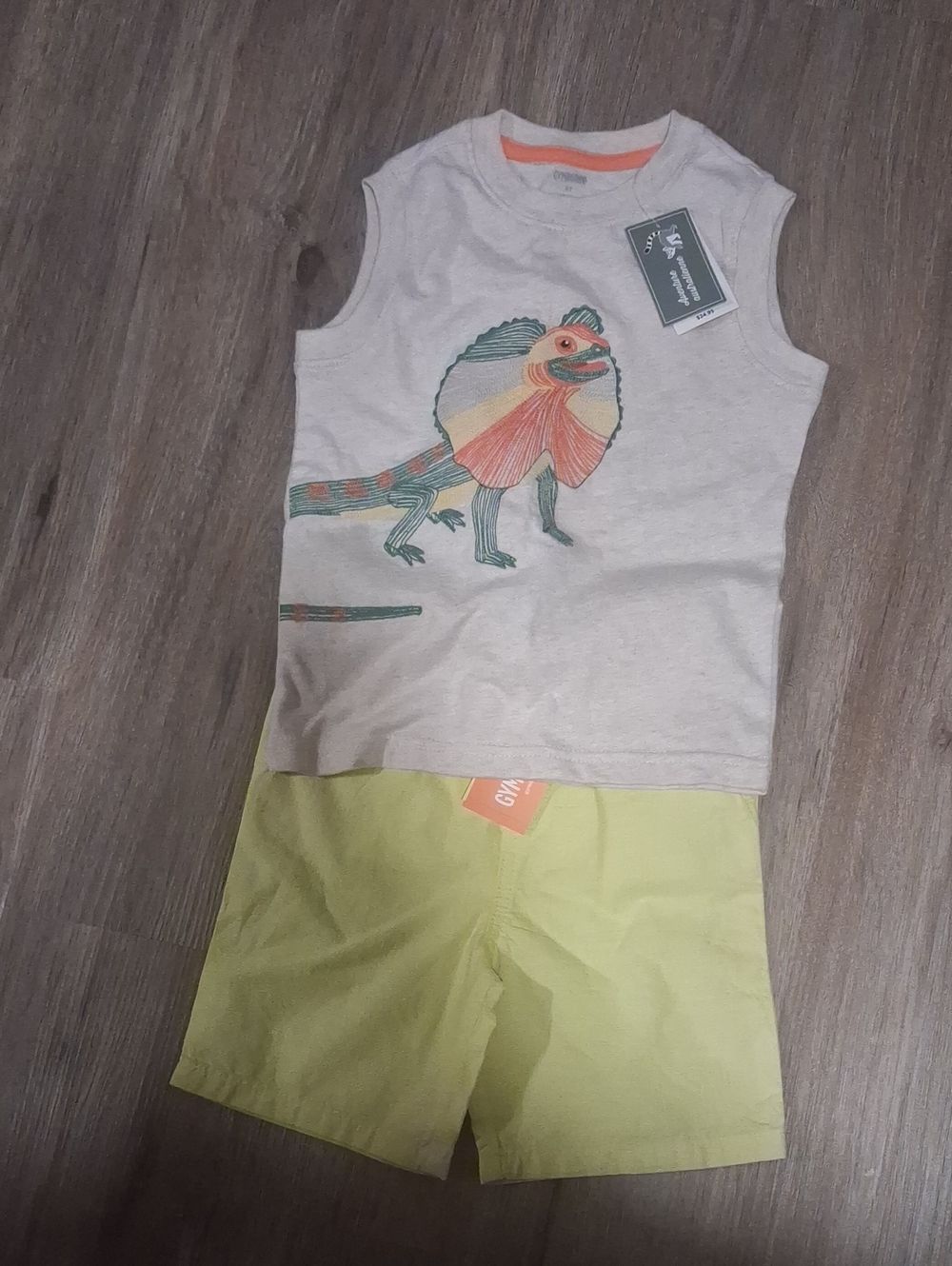 Nwt Gymboree Lot Shorts Tank Top